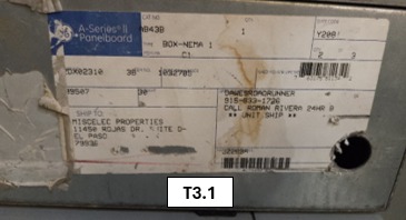 T3.1